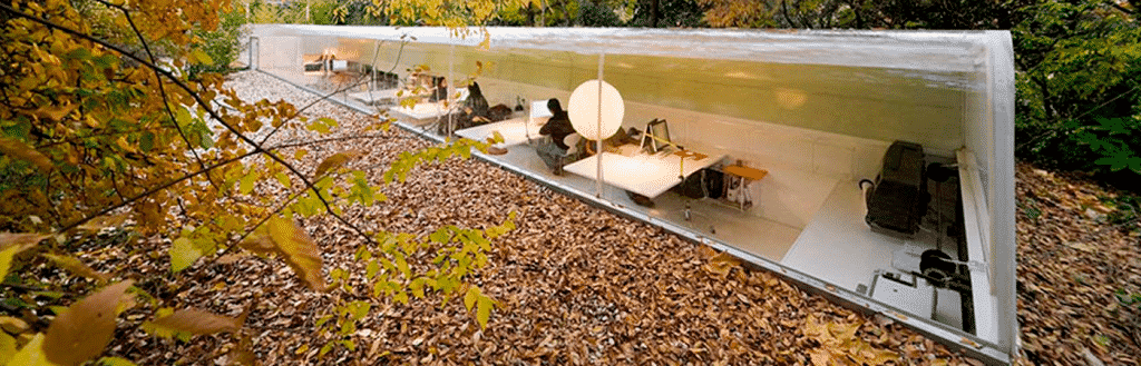 Foto de una de las mejores oficinas del mundo con sillas para sus trabajadores