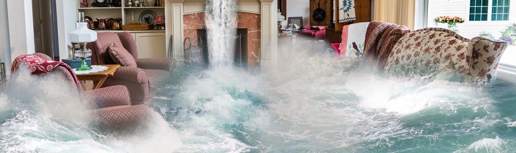 Portada de adiós decoración